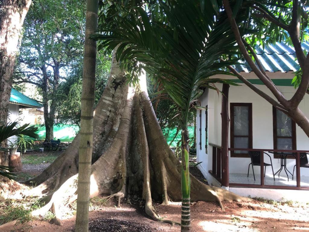Tropical Paradise Leelawadee Resort Κο Τσανγκ Εξωτερικό φωτογραφία